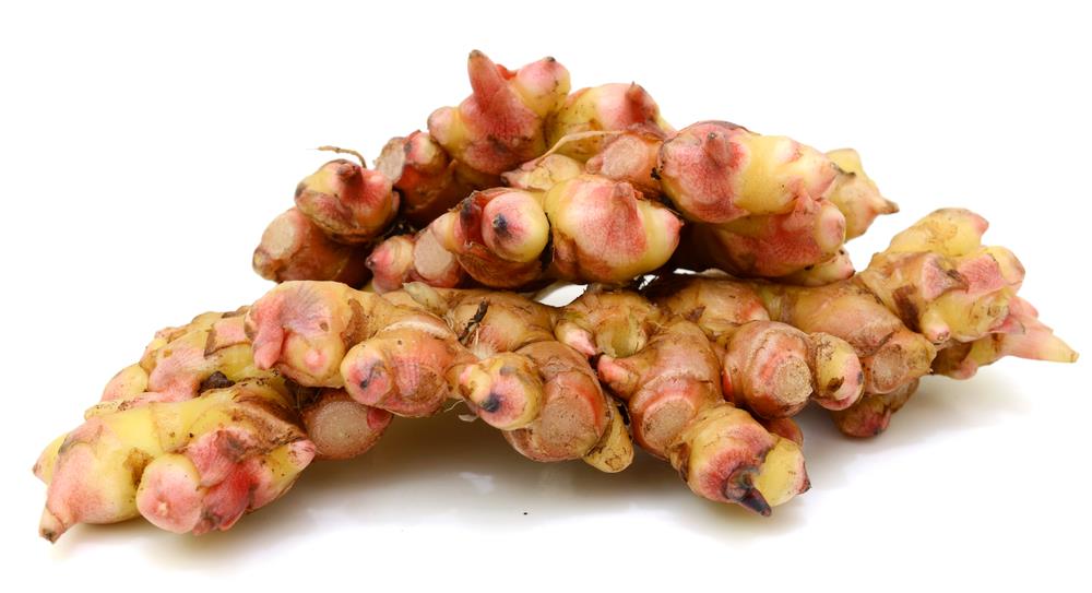 Therapeutic role of Zingiber officinale var. rubrum in pneumonia: inflammatory modulation, clinical burden, and adjunctive management